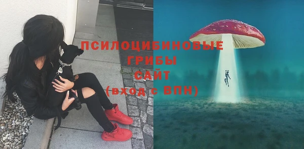 дмт Богородск