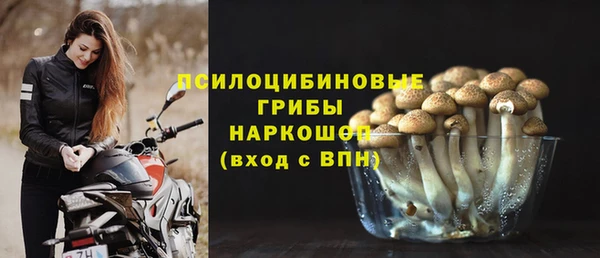 дмт Богородск