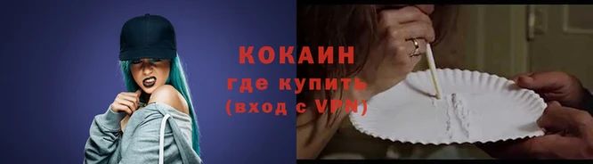 дживик Бородино