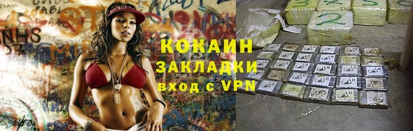 винт Богданович