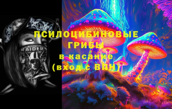 винт Богданович
