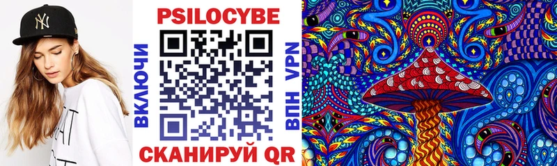Псилоцибиновые грибы Cubensis Щучье